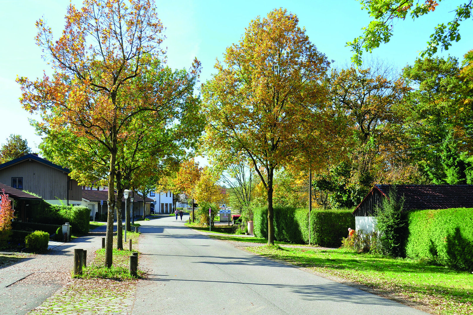 Wohnsammelstrasse Foto vonDufter