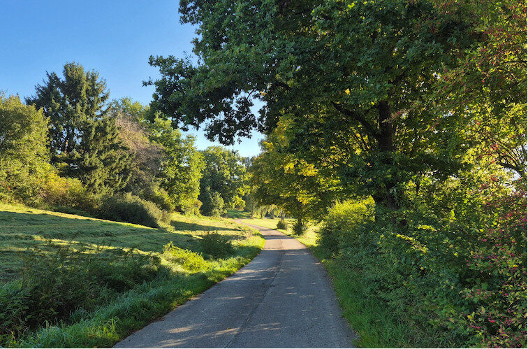 Feldweg, der an Wiesen und Bäumen entlang führt