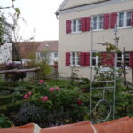 Ein altes Schulhaus mit roten Fensterläden, davor ein Garten mit blühenden Rosen