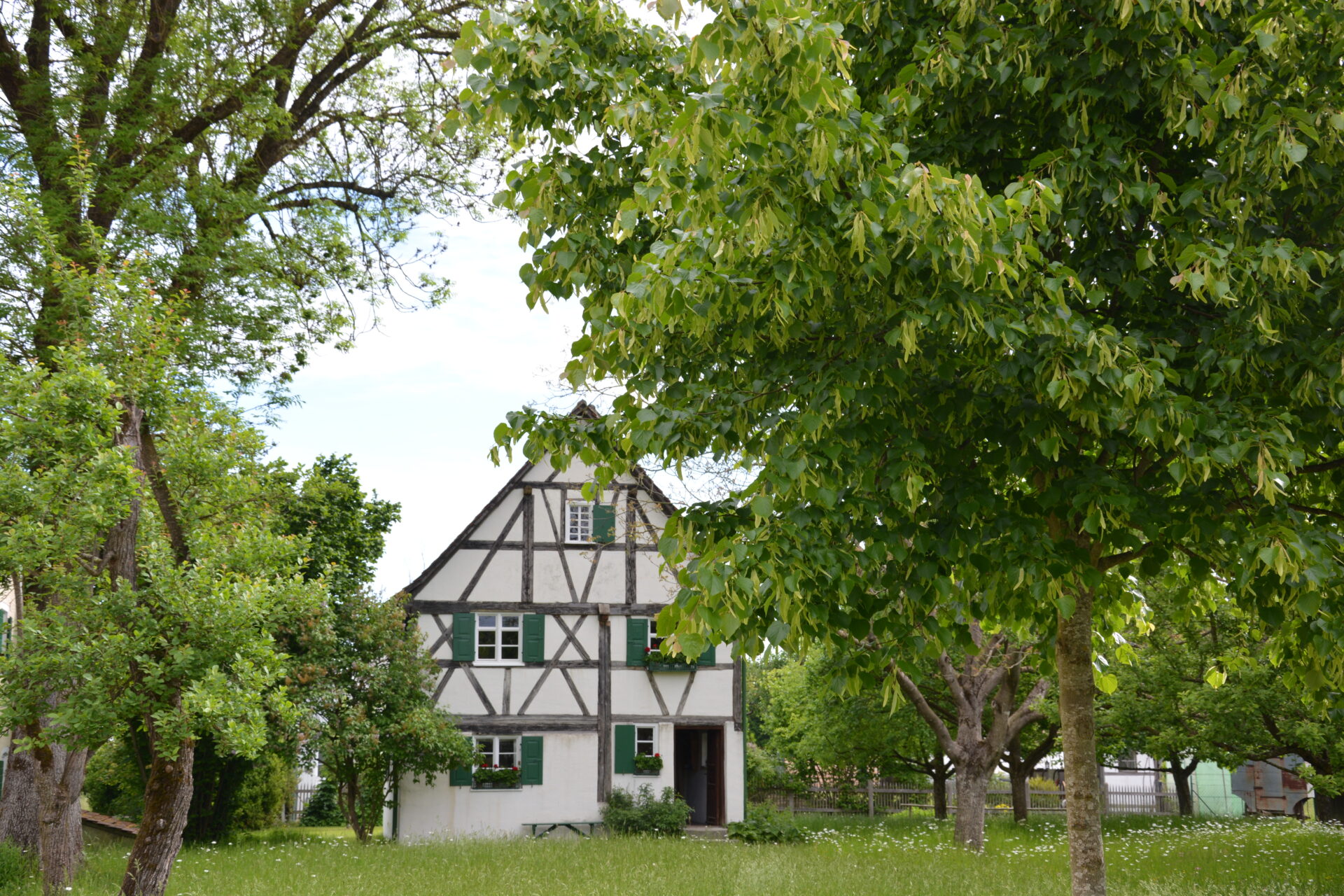 Im Vordgrund kräftige grüne Bäume, dahinter steht ein altes Fachwerkhaus