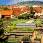 Ansischt der Stadt Bamberg mit Gärten im Vordergrund und einer Kirche und einem Hügel im Hintergrund