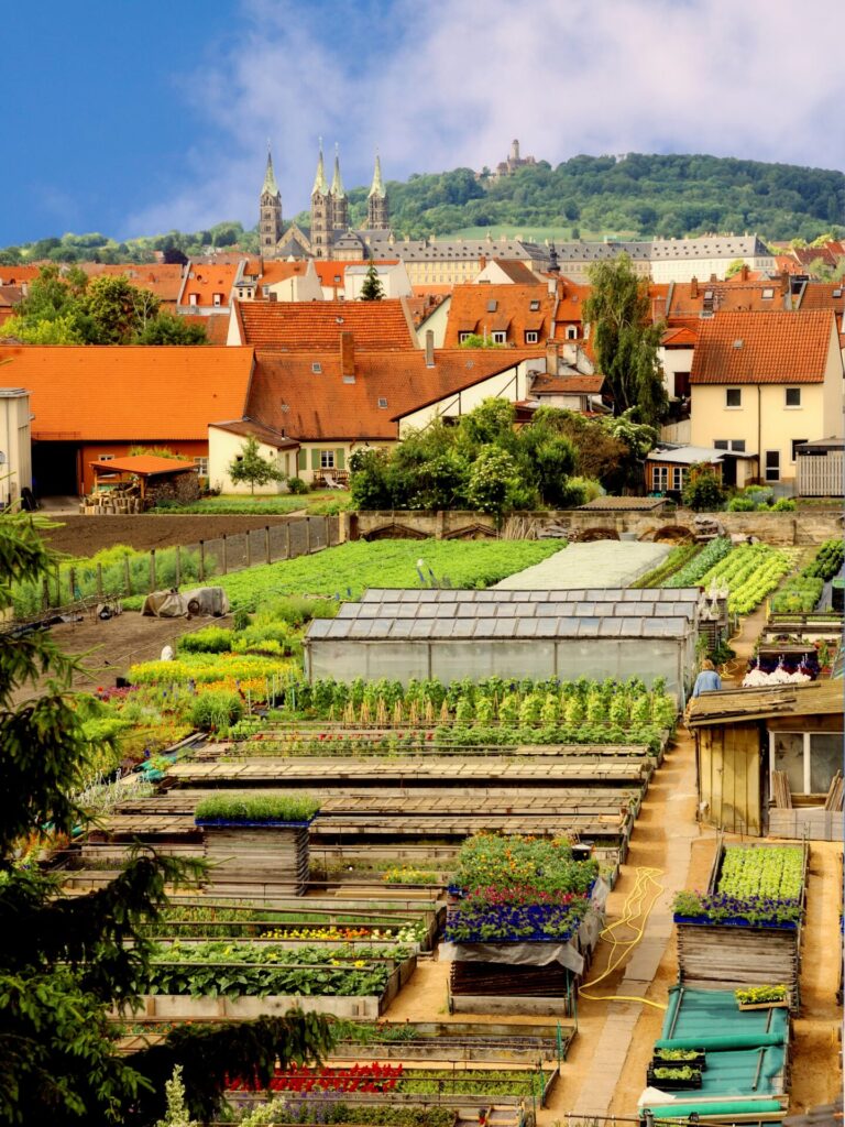 Ansischt der Stadt Bamberg mit Gärten im Vordergrund und einer Kirche und einem Hügel im Hintergrund